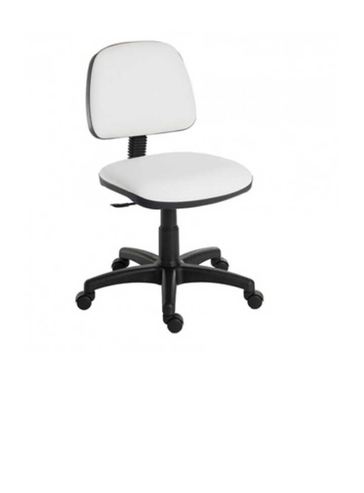 SkinMate Gas Lift Stool + Backrest